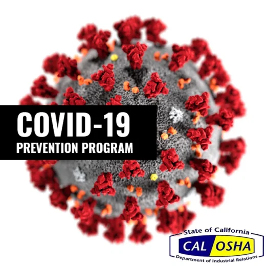 BERT COVID/Pandemic Courses